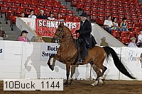 10buck_1144 proof