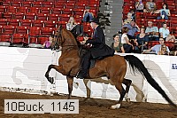 10buck_1145 proof