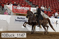 10buck_1147 proof
