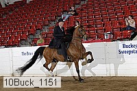 10buck_1151 proof