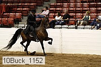 10buck_1152 proof