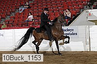 10buck_1153 proof