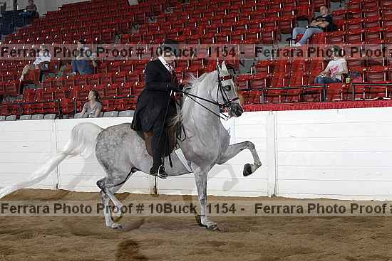Proof 10buck_1154