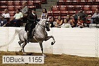 10buck_1155 proof