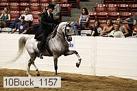10buck_1157 proof