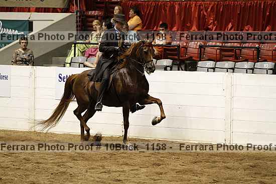 Proof 10buck_1158