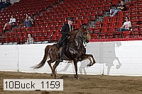 10buck_1159 proof