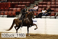 10buck_1160 proof
