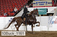 10buck_1161 proof