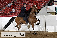 10buck_1162 proof