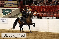 10buck_1163 proof