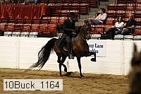 10buck_1164 proof