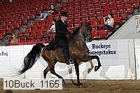 10buck_1165 proof