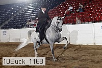 10buck_1168 proof