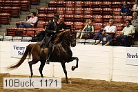 10buck_1171 proof