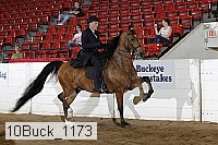10buck_1173 proof