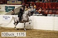 10buck_1175 proof