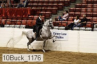 10buck_1176 proof