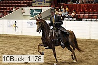 10buck_1178 proof