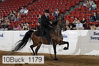 10buck_1179 proof