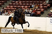 10buck_1180 proof