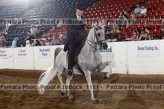 Proof 10buck_1181