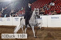 10buck_1181 proof