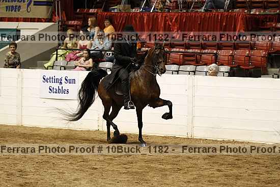 Proof 10buck_1182