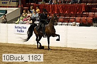 10buck_1182 proof
