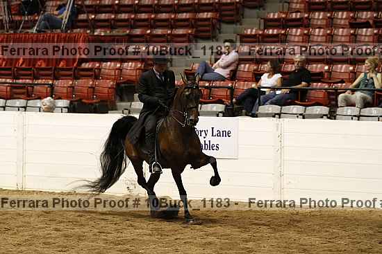 Proof 10buck_1183