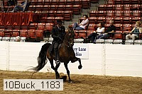 10buck_1183 proof