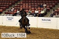 10buck_1184 proof