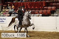10buck_1185 proof