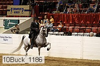 10buck_1186 proof