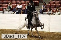 10buck_1187 proof