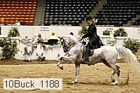 10buck_1188 proof