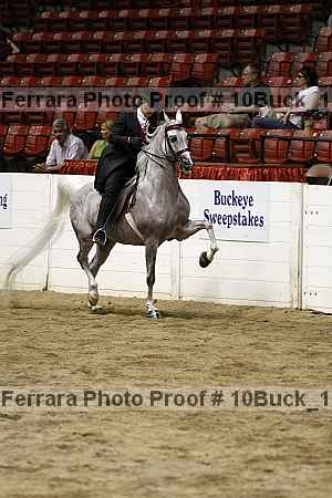 Proof 10buck_1189