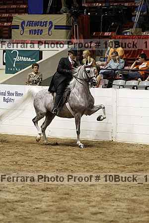 Proof 10buck_1190