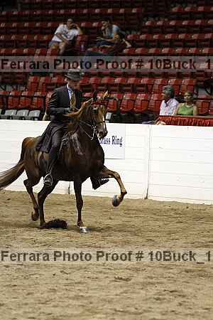 Proof 10buck_1192