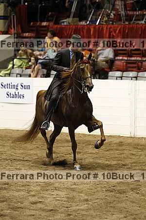 Proof 10buck_1193