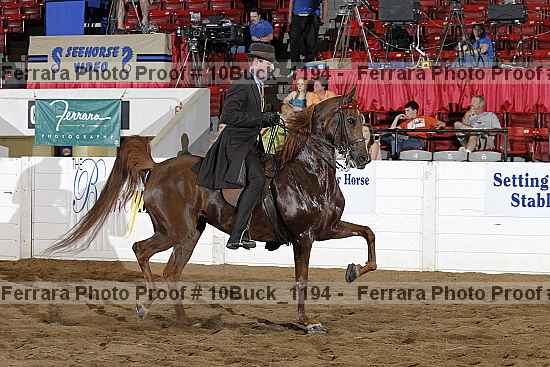 Proof 10buck_1194
