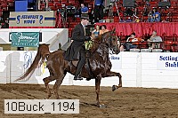 10buck_1194 proof