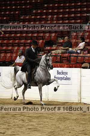 Proof 10buck_1195
