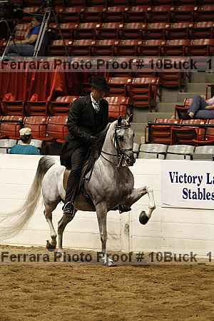 Proof 10buck_1197