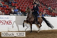 10buck_1202 proof