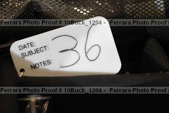 Proof 10buck_1204