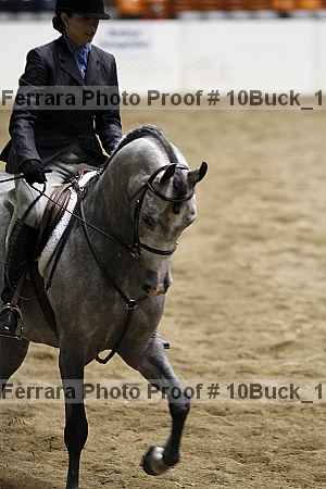 Proof 10buck_1205