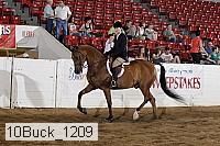10buck_1209 proof