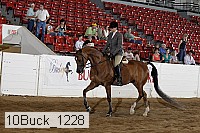 10buck_1228 proof