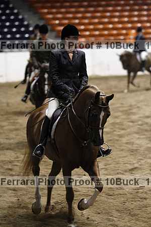 Proof 10buck_1231